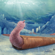 The penile worm Eximipriapulus inhabiting a hyolith shell.